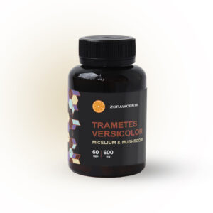 TRAMETES VERSICOLOR Траметес разноцветный