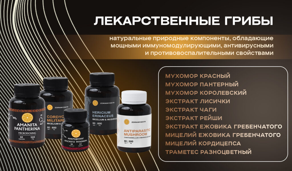 макет для сайта баннер 5.3